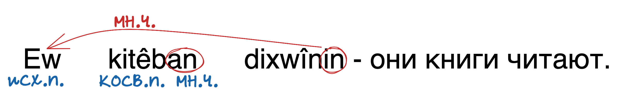 Ew kitêban dixwînin - Они книги читают.