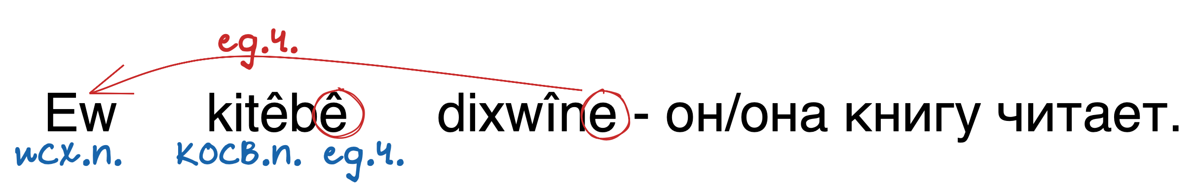 Ew kitêbê dixwîne - он/она книгу читает.