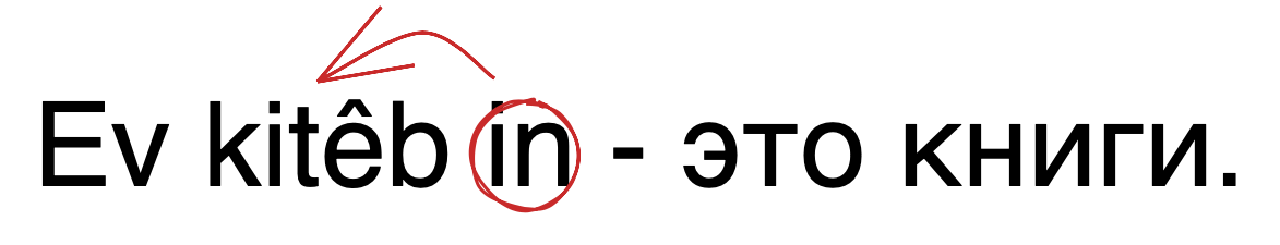 Ev kitêb in - это книги.