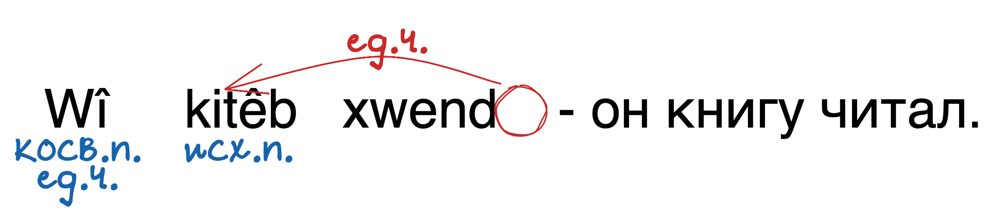 Wî kitêb xwend - Он книгу читал.